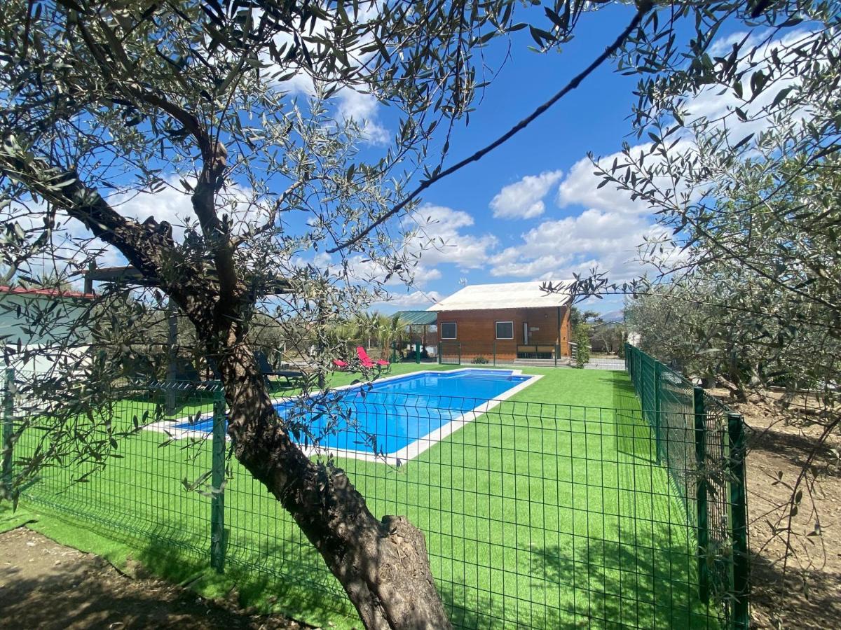 Villa Camino Del PaloChurriana de la Vega エクステリア 写真